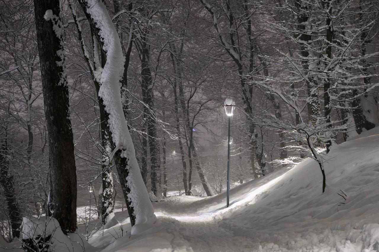 Margaret Place * Brasov